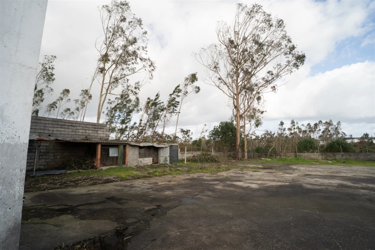 Armazém para Venda em Santa Eufémia e Boa Vista Foto 57