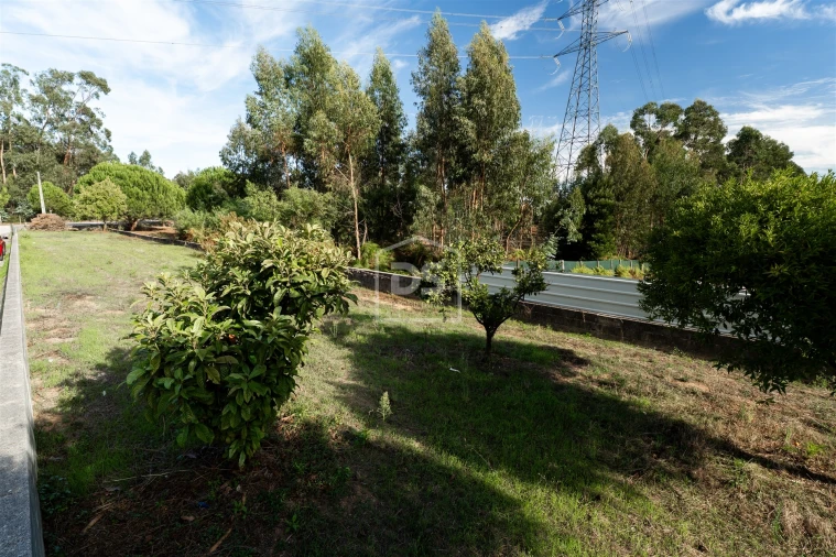 Armazém para Venda em Santa Eufémia e Boa Vista Foto 46