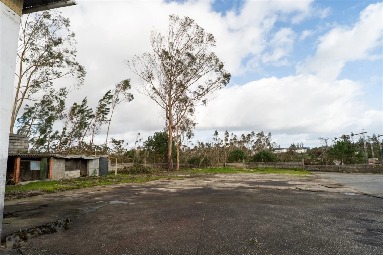 Armazém para Venda em Santa Eufémia e Boa Vista Foto 60