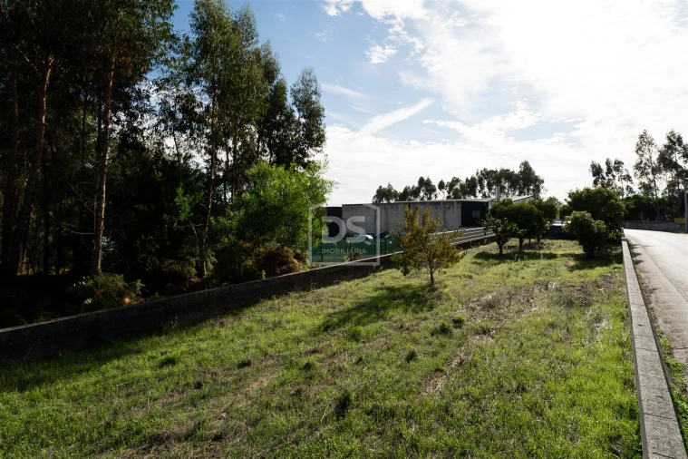 Armazém para Venda em Santa Eufémia e Boa Vista Foto 48