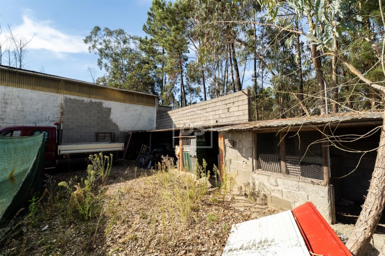 Armazém para Venda em Santa Eufémia e Boa Vista Foto 32