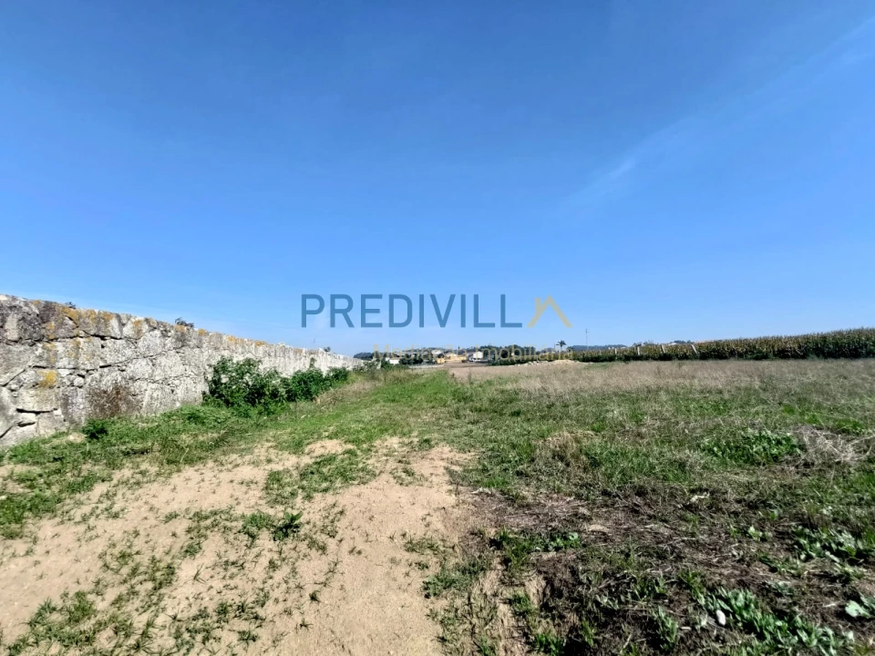 Terreno para Venda em Gião Foto 3