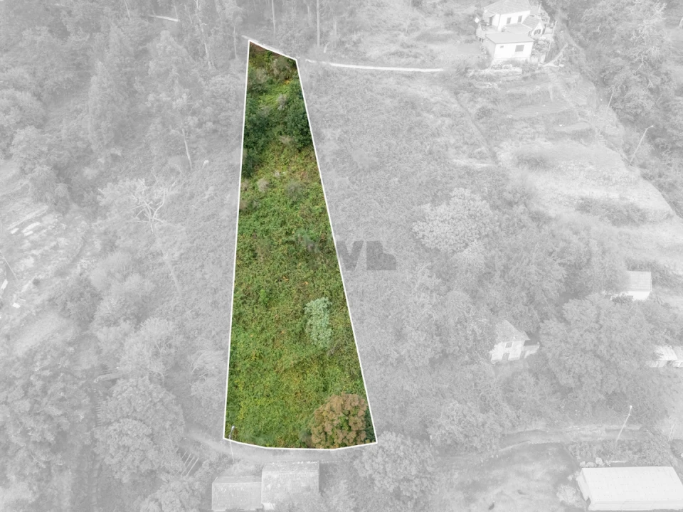 Moradia T2 para Venda em Camacha Foto 7