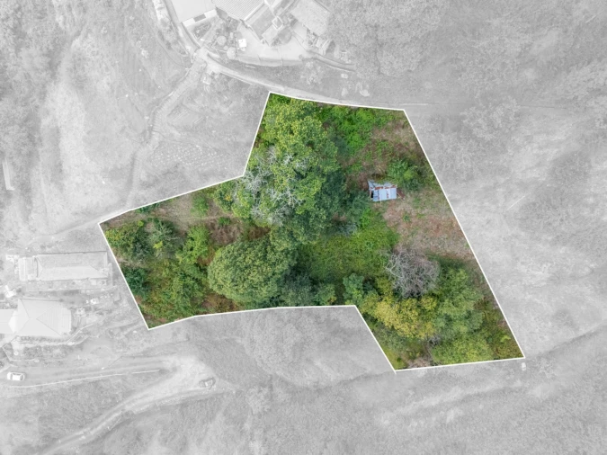 Moradia T2 para Venda em Camacha Foto 15