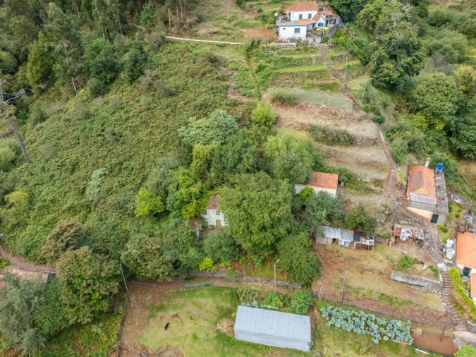 Moradia T2 para Venda em Camacha Foto 8