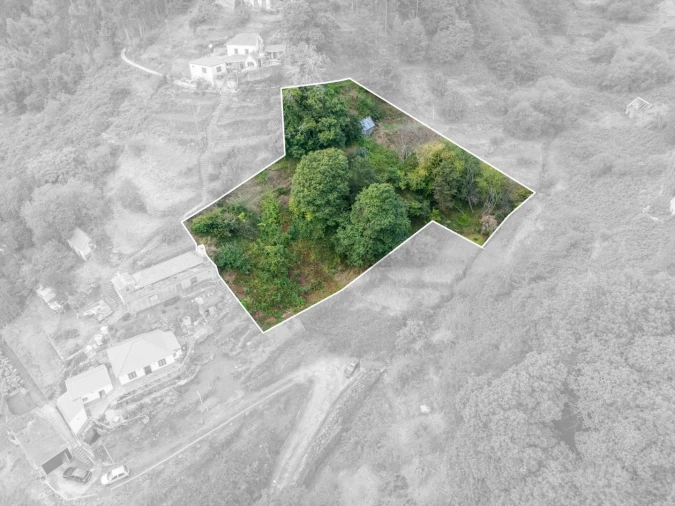 Moradia T2 para Venda em Camacha Foto 16