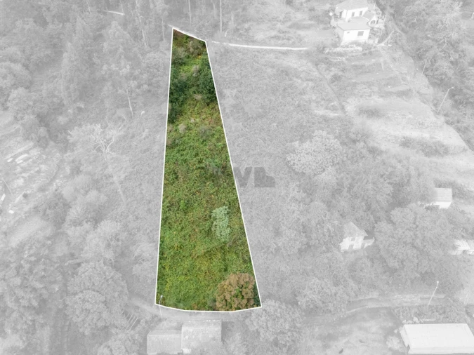 Moradia T2 para Venda em Camacha Foto 7