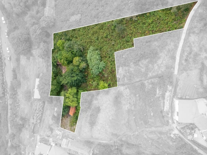 Moradia T2 para Venda em Camacha Foto 10