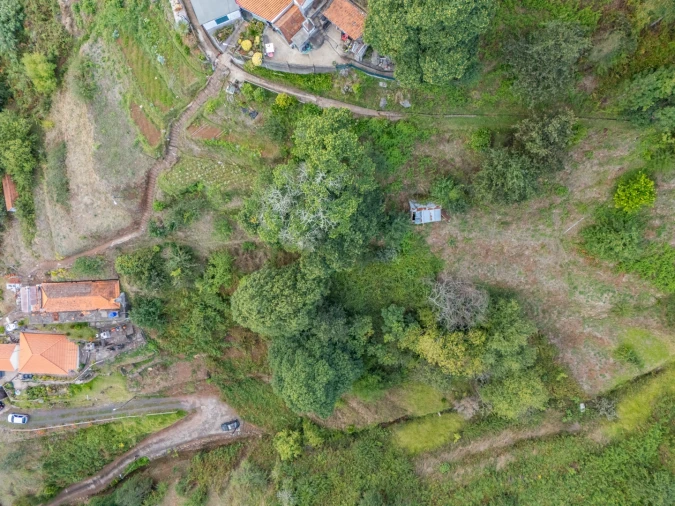 Moradia T2 para Venda em Camacha Foto 13