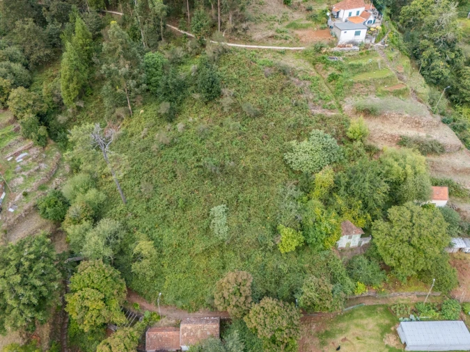 Moradia T2 para Venda em Camacha Foto 6