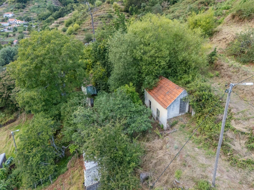 Moradia T2 para Venda em Camacha Foto 11