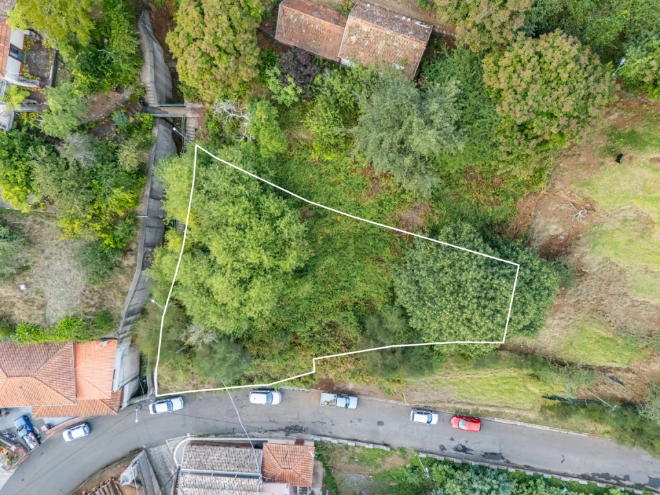 Moradia T2 para Venda em Camacha Foto 4