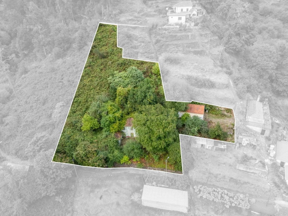 Moradia T2 para Venda em Camacha Foto 9