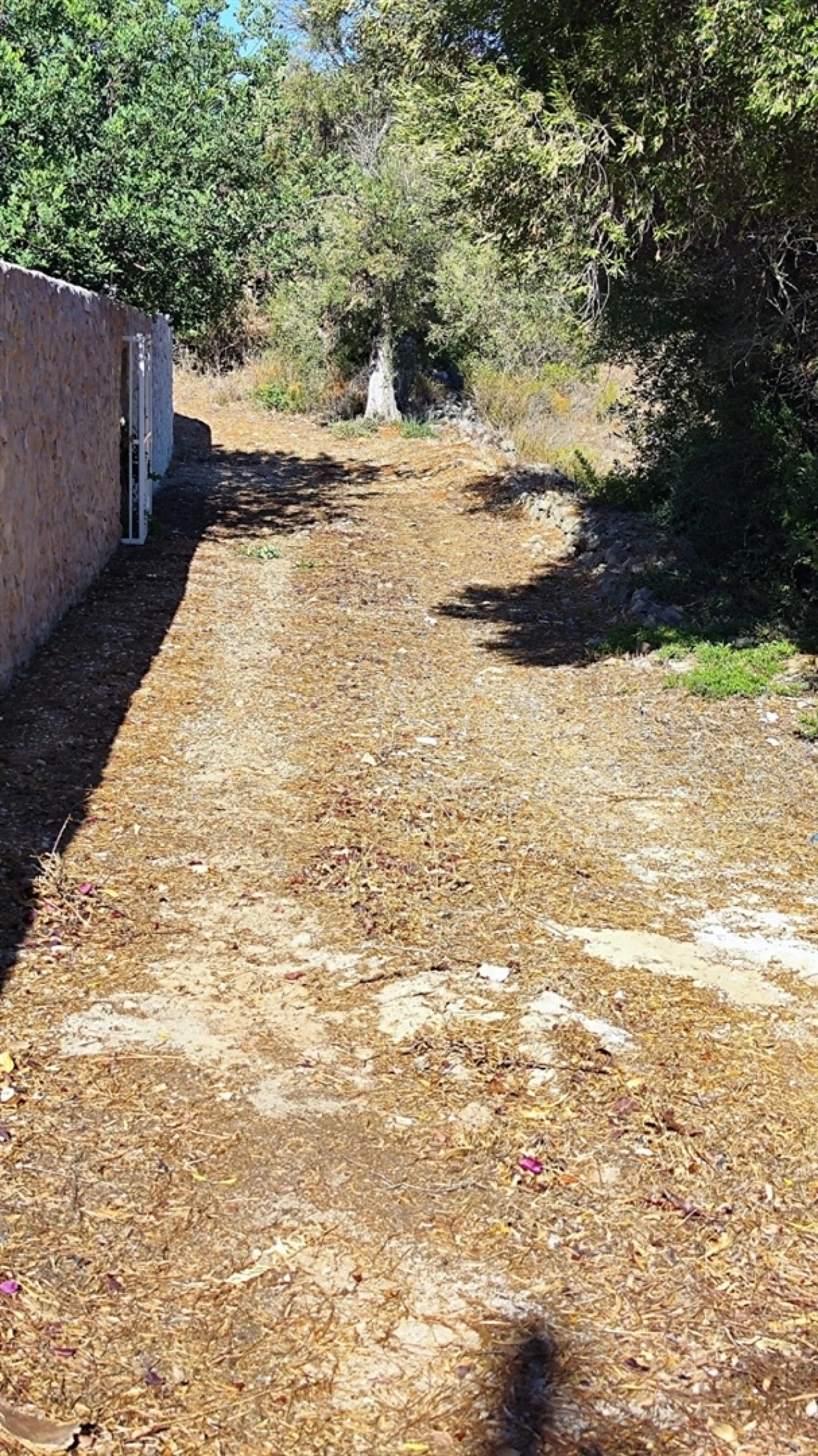 Terreno Misto para Venda em Algoz e Tunes Foto 2