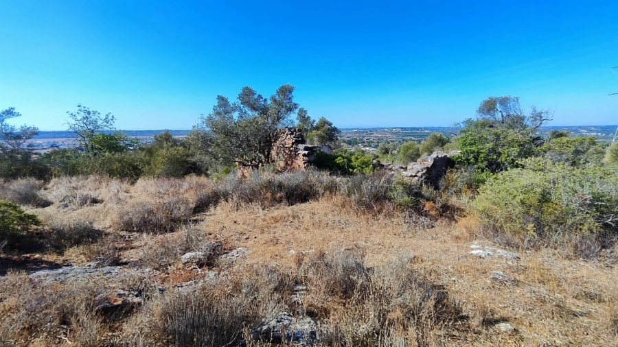 Terreno Misto para Venda em Algoz e Tunes Foto 14