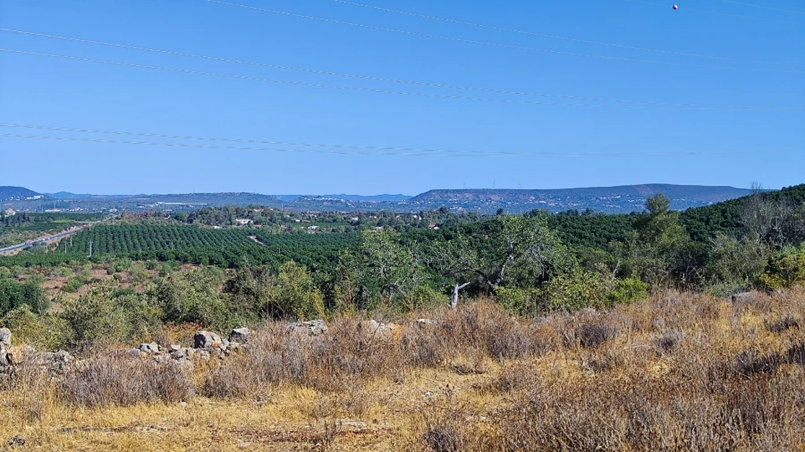 Terreno Misto para Venda em Algoz e Tunes Foto 17
