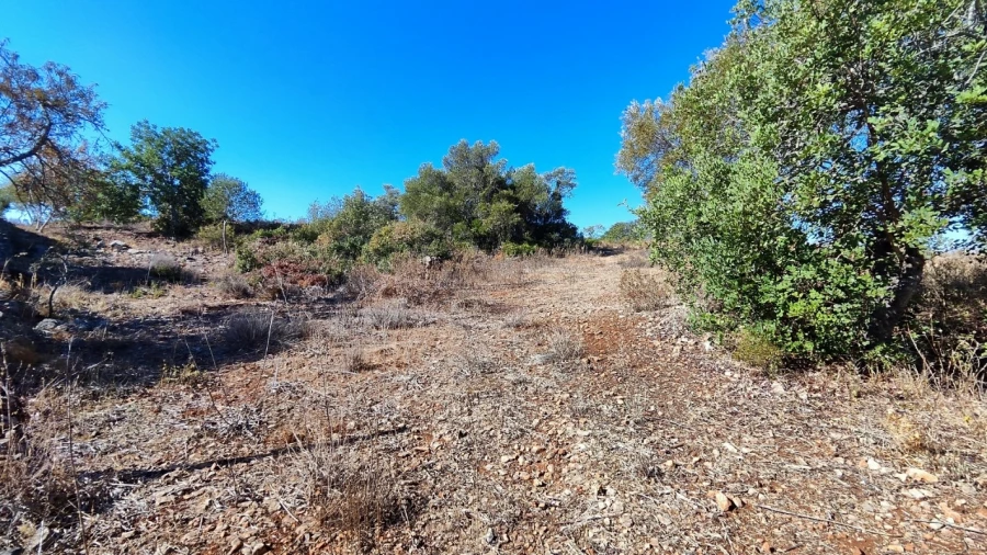 Terreno Misto para Venda em Algoz e Tunes Foto 3