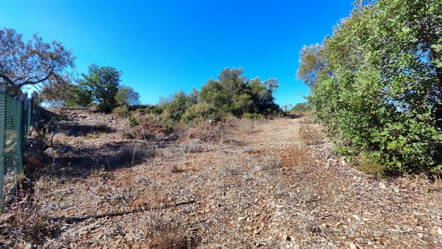 Terreno Misto para Venda em Algoz e Tunes Foto 4