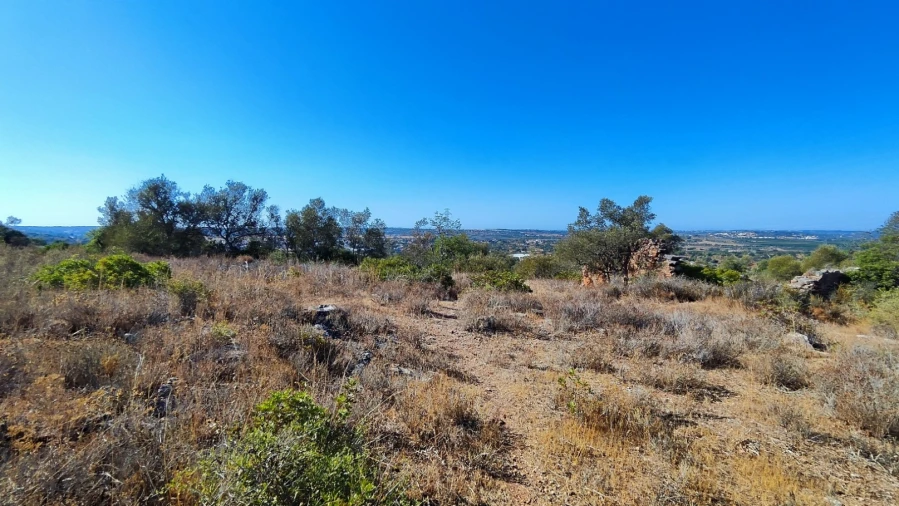 Terreno Misto para Venda em Algoz e Tunes Foto 7