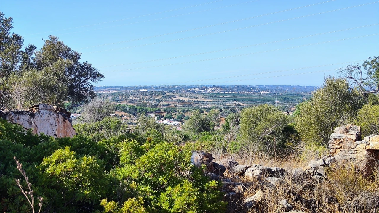 Terreno Misto para Venda em Algoz e Tunes Foto 16