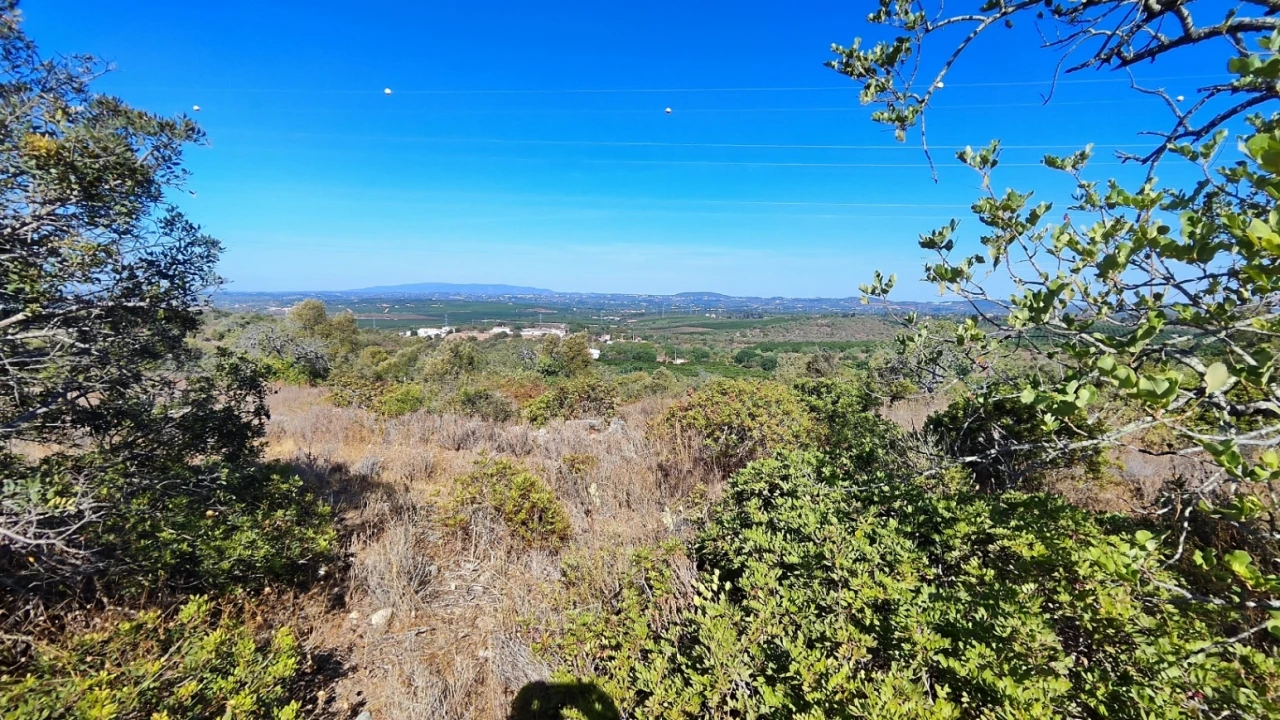 Terreno Misto para Venda em Algoz e Tunes Foto 5