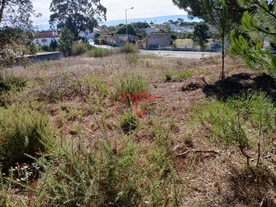 Terreno para Venda em Nadadouro Foto 5