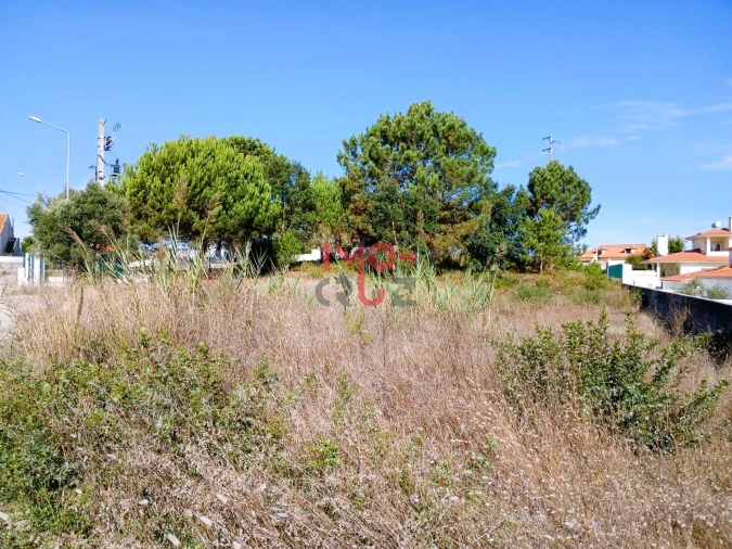 Terreno para Venda em Nadadouro Foto 7