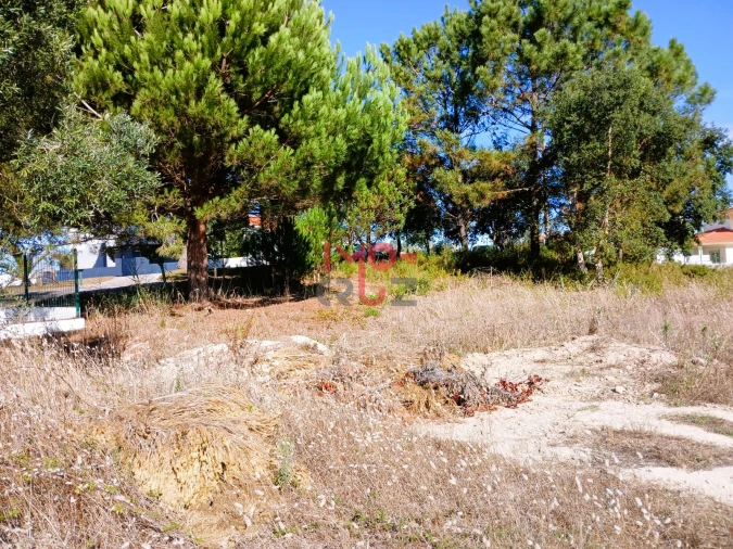 Terreno para Venda em Nadadouro Foto 3