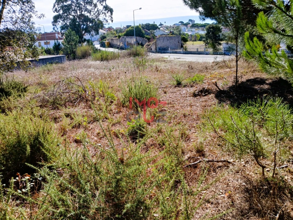 Terreno para Venda em Nadadouro Foto 4