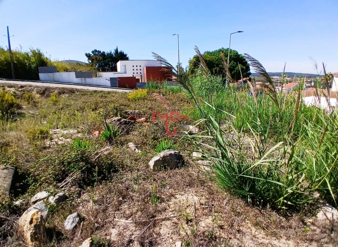Terreno para Venda em Santa Maria, São Pedro e Sobral da Lagoa Foto 4
