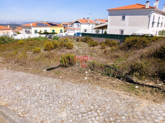 Terreno para Venda em Santa Maria, São Pedro e Sobral da Lagoa