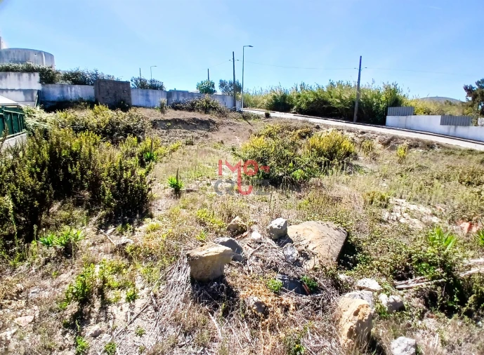 Terreno para Venda em Santa Maria, São Pedro e Sobral da Lagoa Foto 5