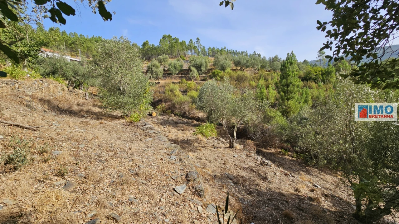 Moradia T2 para Venda em Estreito-Vilar Barroco Foto 24