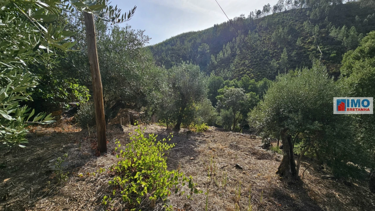 Moradia T2 para Venda em Estreito-Vilar Barroco Foto 20