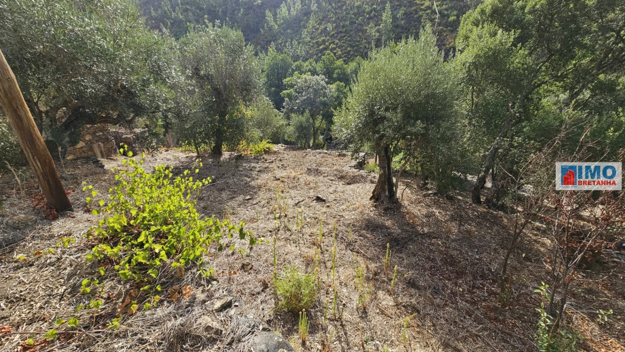 Moradia T2 para Venda em Estreito-Vilar Barroco Foto 18