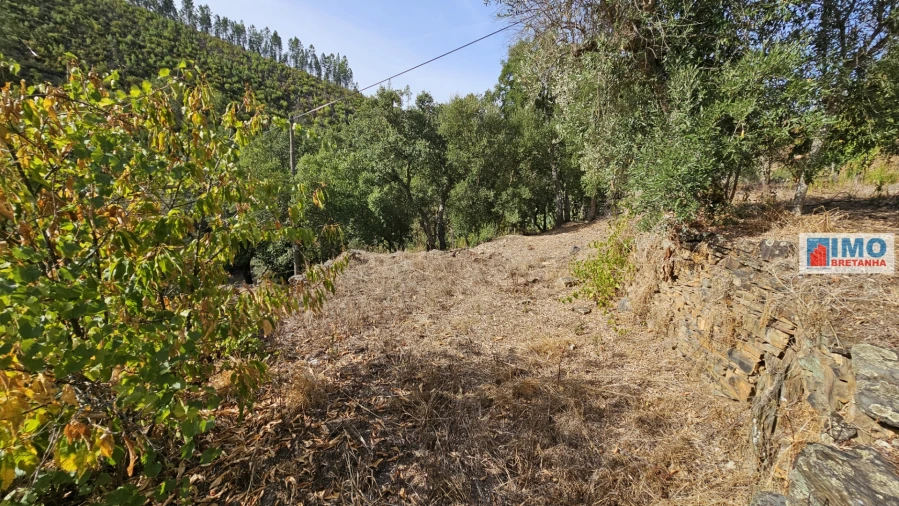 Moradia T2 para Venda em Estreito-Vilar Barroco Foto 25