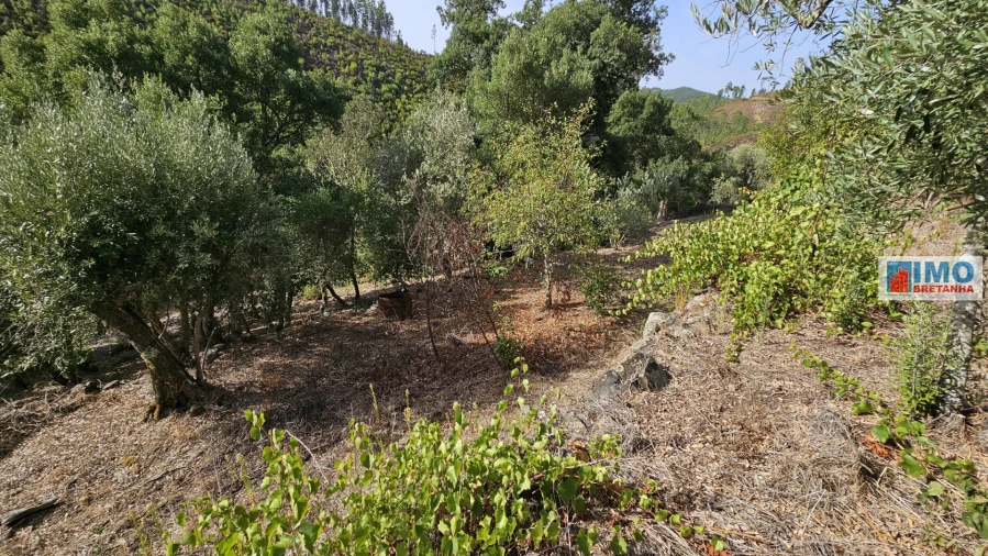 Moradia T2 para Venda em Estreito-Vilar Barroco Foto 26