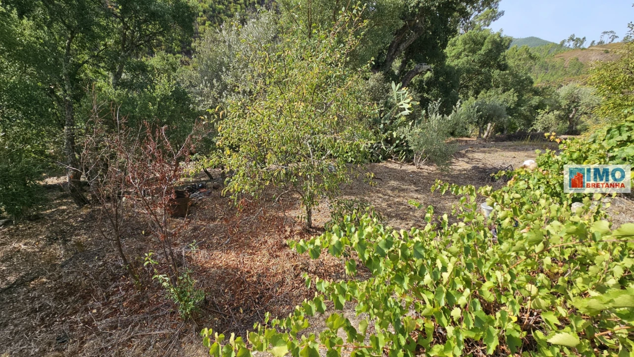 Moradia T2 para Venda em Estreito-Vilar Barroco Foto 19