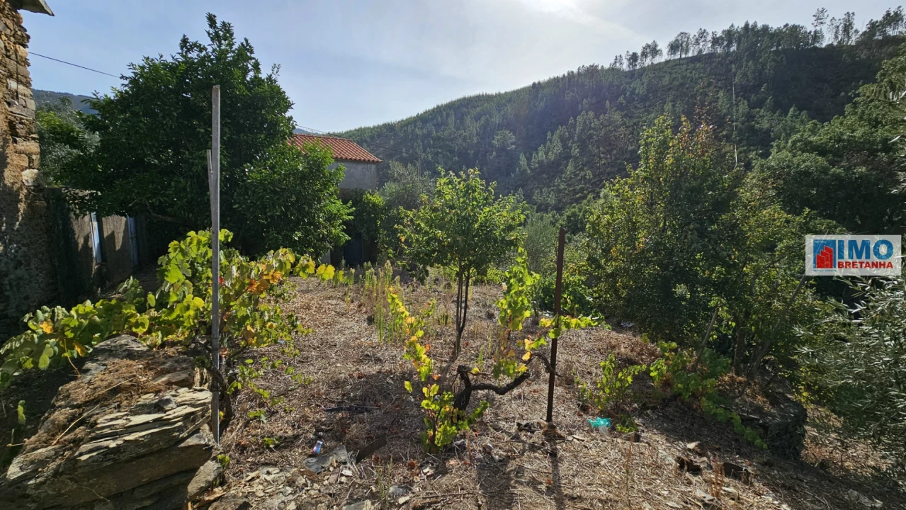 Moradia T2 para Venda em Estreito-Vilar Barroco Foto 14