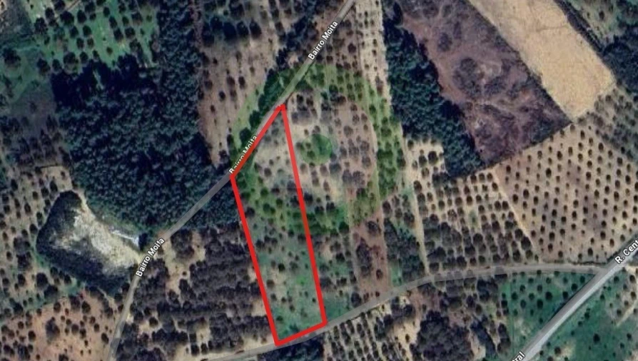 Moradia T1 para Venda em São João da Corveira Foto 3