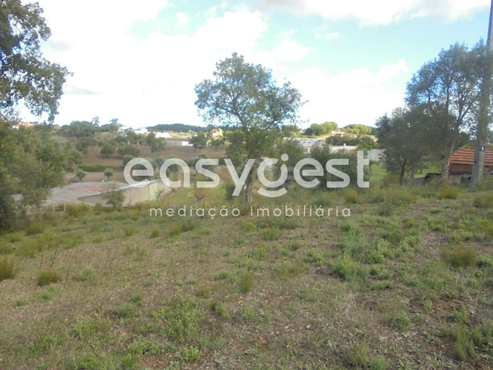 Terreno Agricola ou Rústico para Venda em Casais e Alviobeira Foto 3