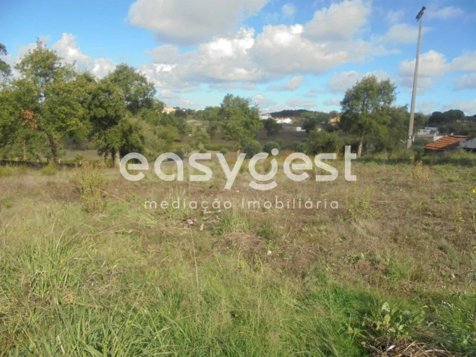 Terreno Agricola ou Rústico para Venda em Casais e Alviobeira Foto 2