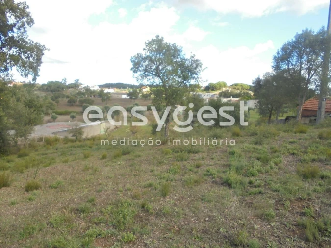 Terreno Agricola ou Rústico para Venda em Casais e Alviobeira Foto 3