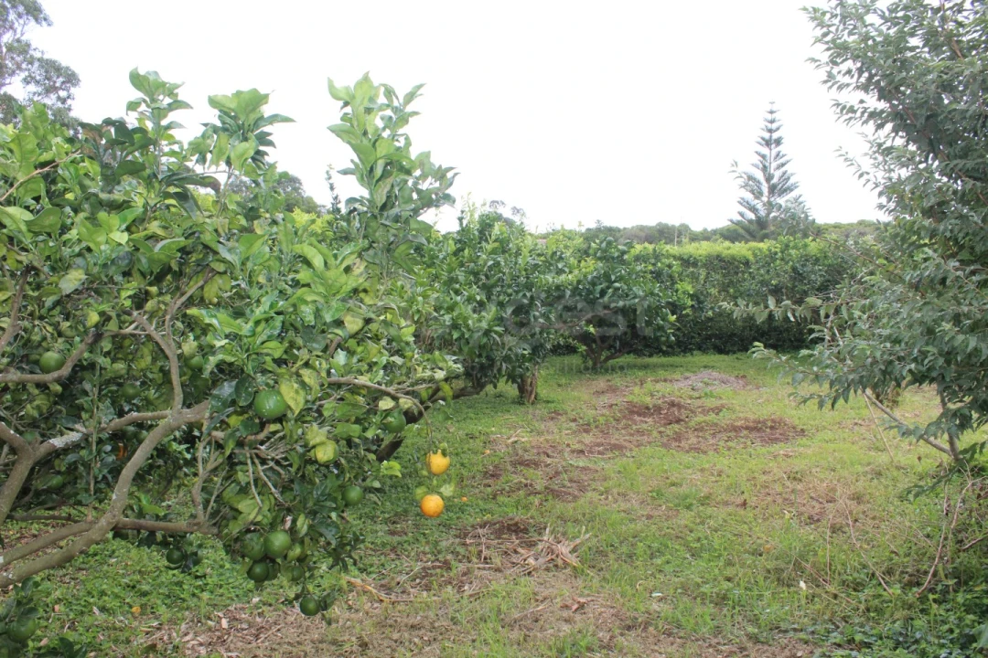 Moradia T4 para Venda em Porto Martins Foto 28