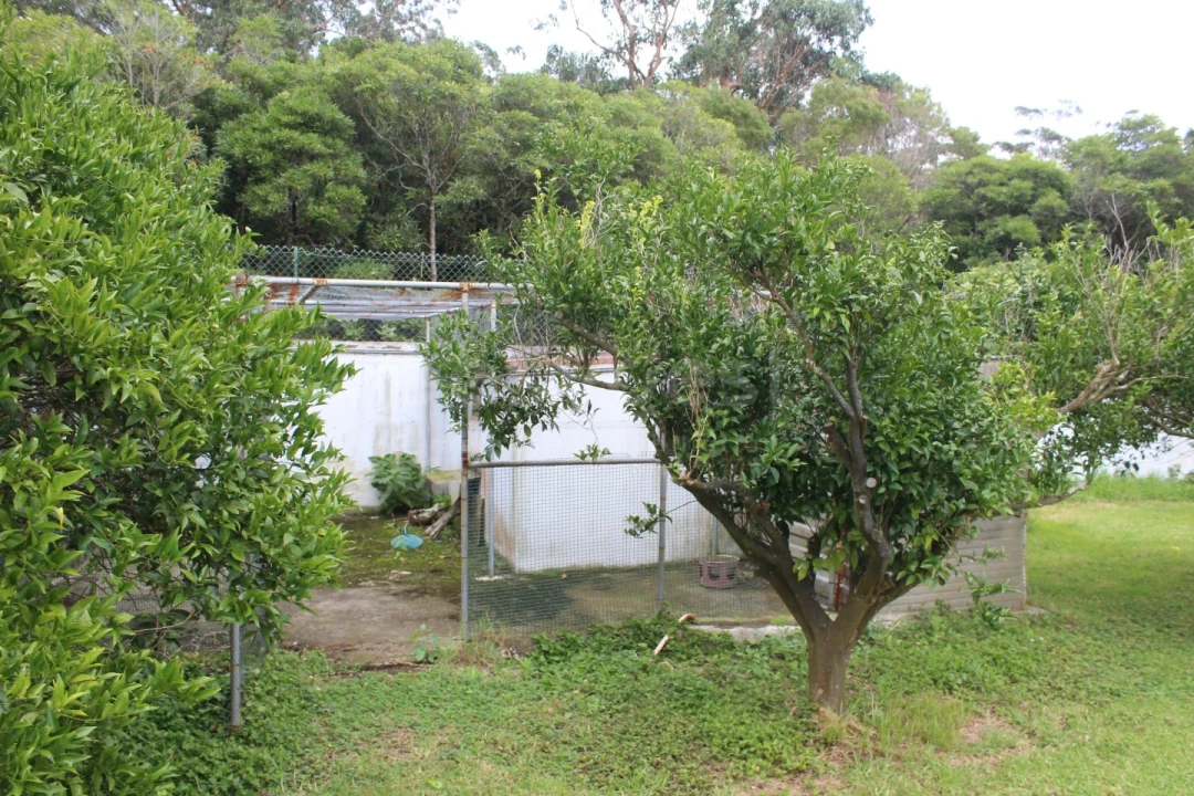 Moradia T4 para Venda em Porto Martins Foto 33