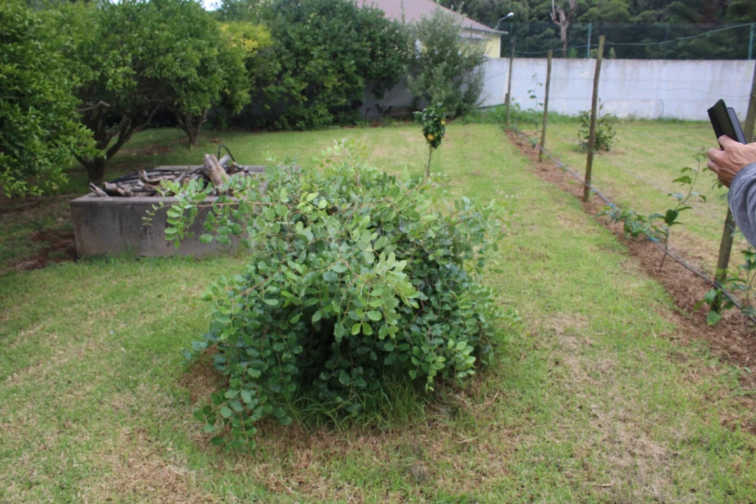 Moradia T4 para Venda em Porto Martins Foto 34