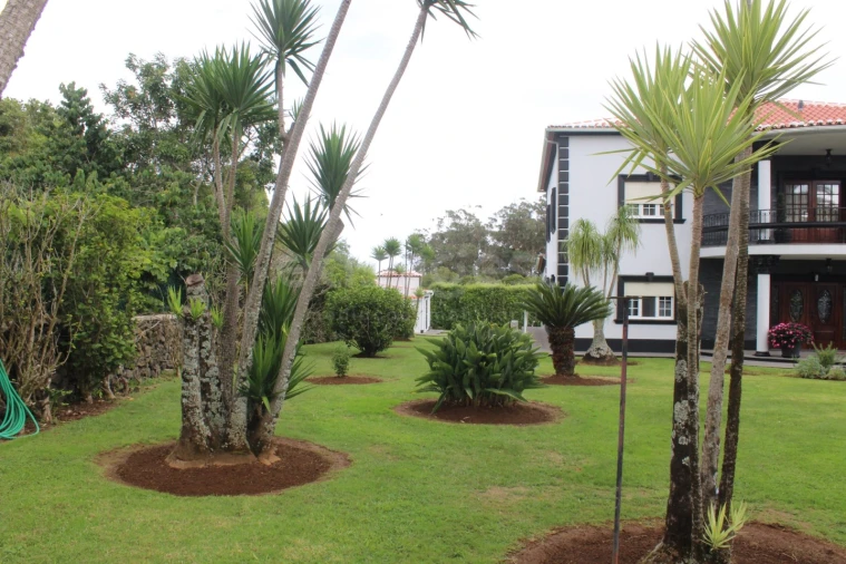 Moradia T4 para Venda em Porto Martins Foto 8