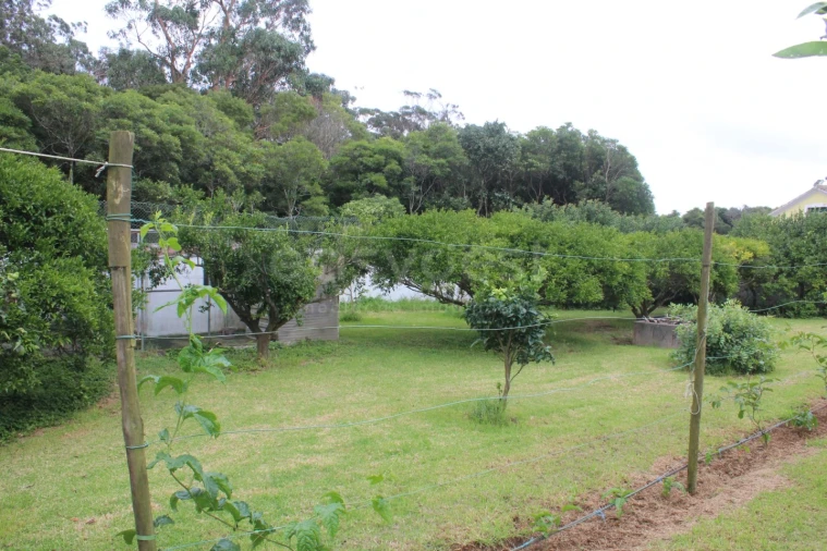 Moradia T4 para Venda em Porto Martins Foto 31