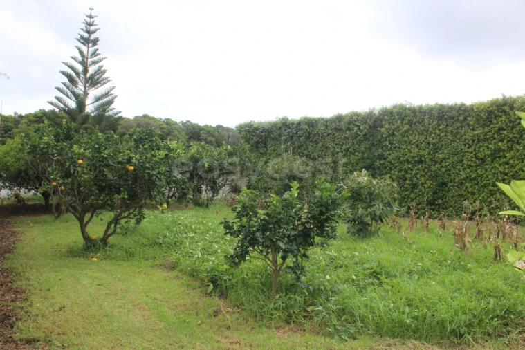 Moradia T4 para Venda em Porto Martins Foto 32