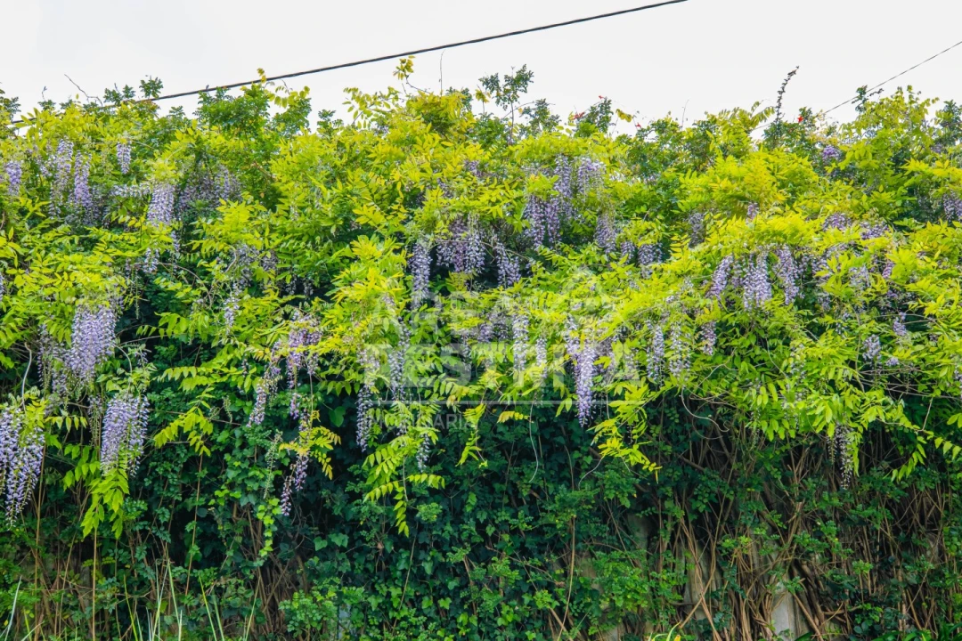 Moradia T5 para Venda em Cacém e São Marcos Foto 106